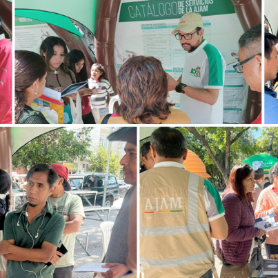 nota feria tarija