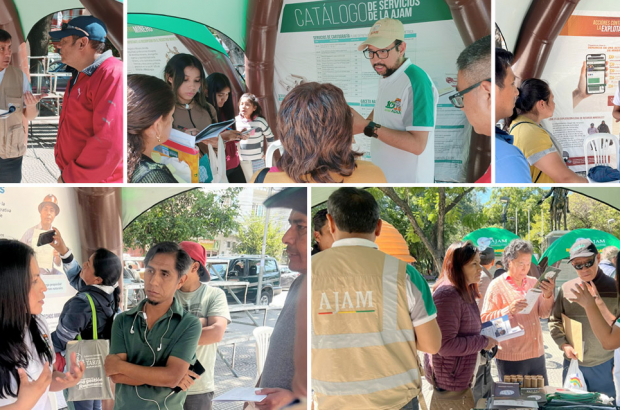 nota feria tarija